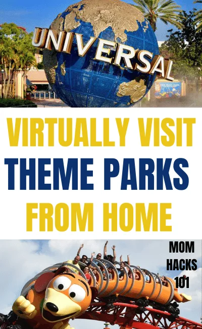 Virtual Amusement Park Rides