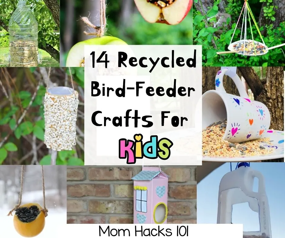 Bird Feeder Crafts For Kids