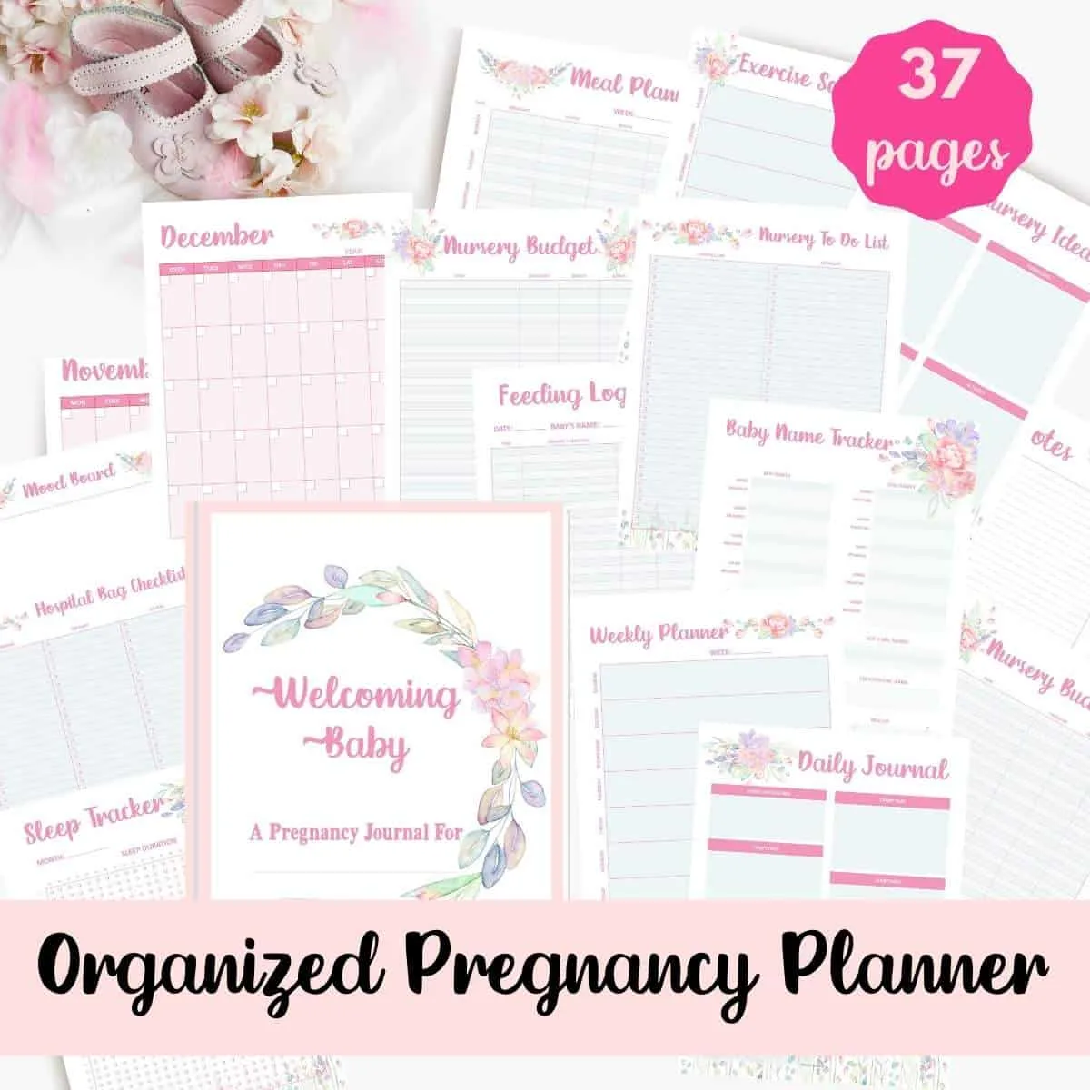 Organized Pregnancy Planner