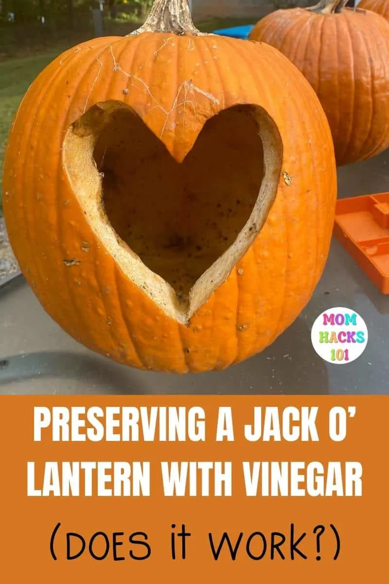 preserve jack o lantern vinegar