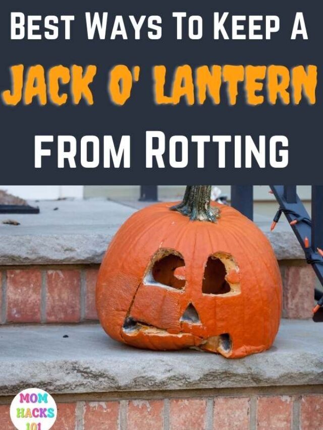 Jack O’Lantern Rot Prevention Tips