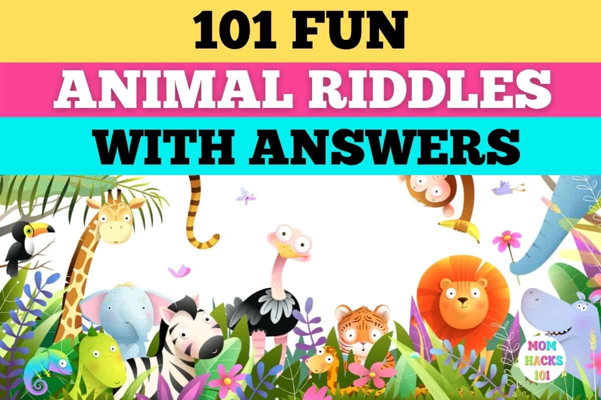 animal riddles with answers
