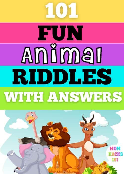 Animal Riddles With Answers