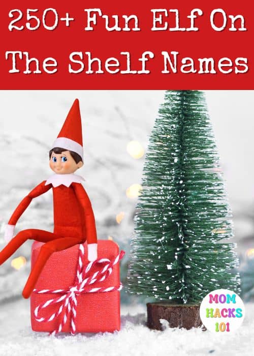 Elf on the shelf names