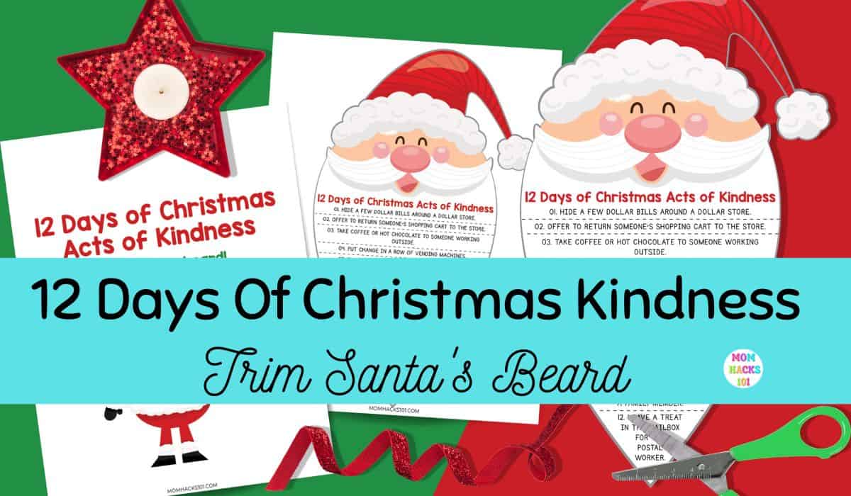 12 Days Of Christmas Kindness