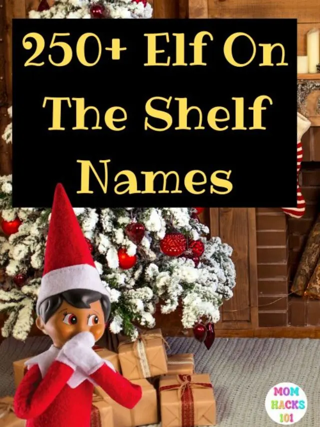 best elf on the shelf names list